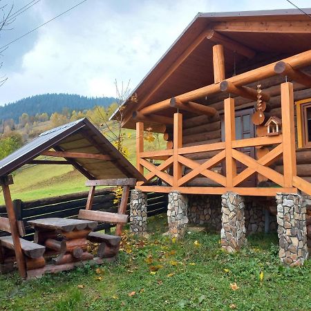 Маєток У Ґазди Synevyrs'ka Polyana Ngoại thất bức ảnh